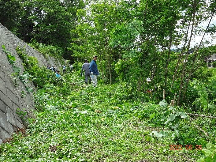 横内川の清掃