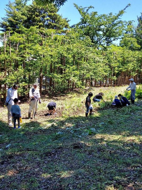 横内草引き大作戦