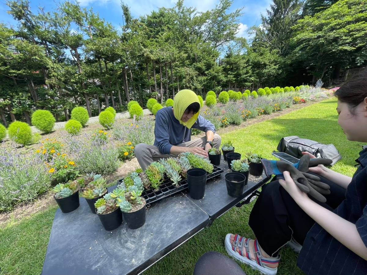 コミュニティガーデン横内の草取りと多肉植物の植え付け