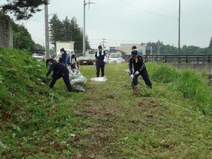 横内川の清掃