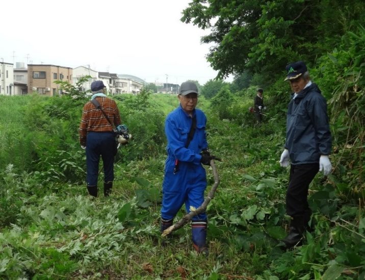 横内川の清掃