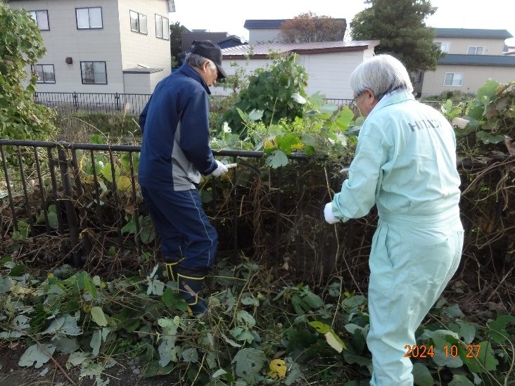 合子沢川の清掃