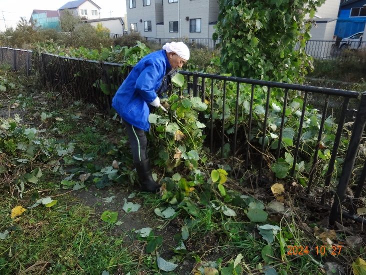 合子沢川の清掃